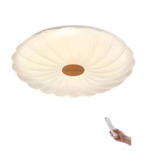 Plafon techo 54W  490mm CCT con mando