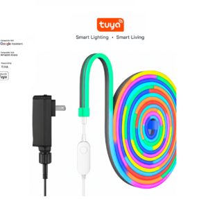 tira led Inteligente RGBIC Tuya 24V NEON  IP65 10W/M  5METROS  PACK
